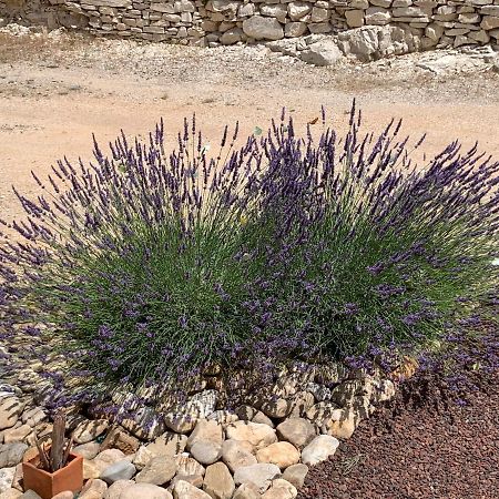 مبيت وإفطار Saint-Jean-de-Maruéjols-et-Avéjan Au Fil Des Cevennes المظهر الخارجي الصورة