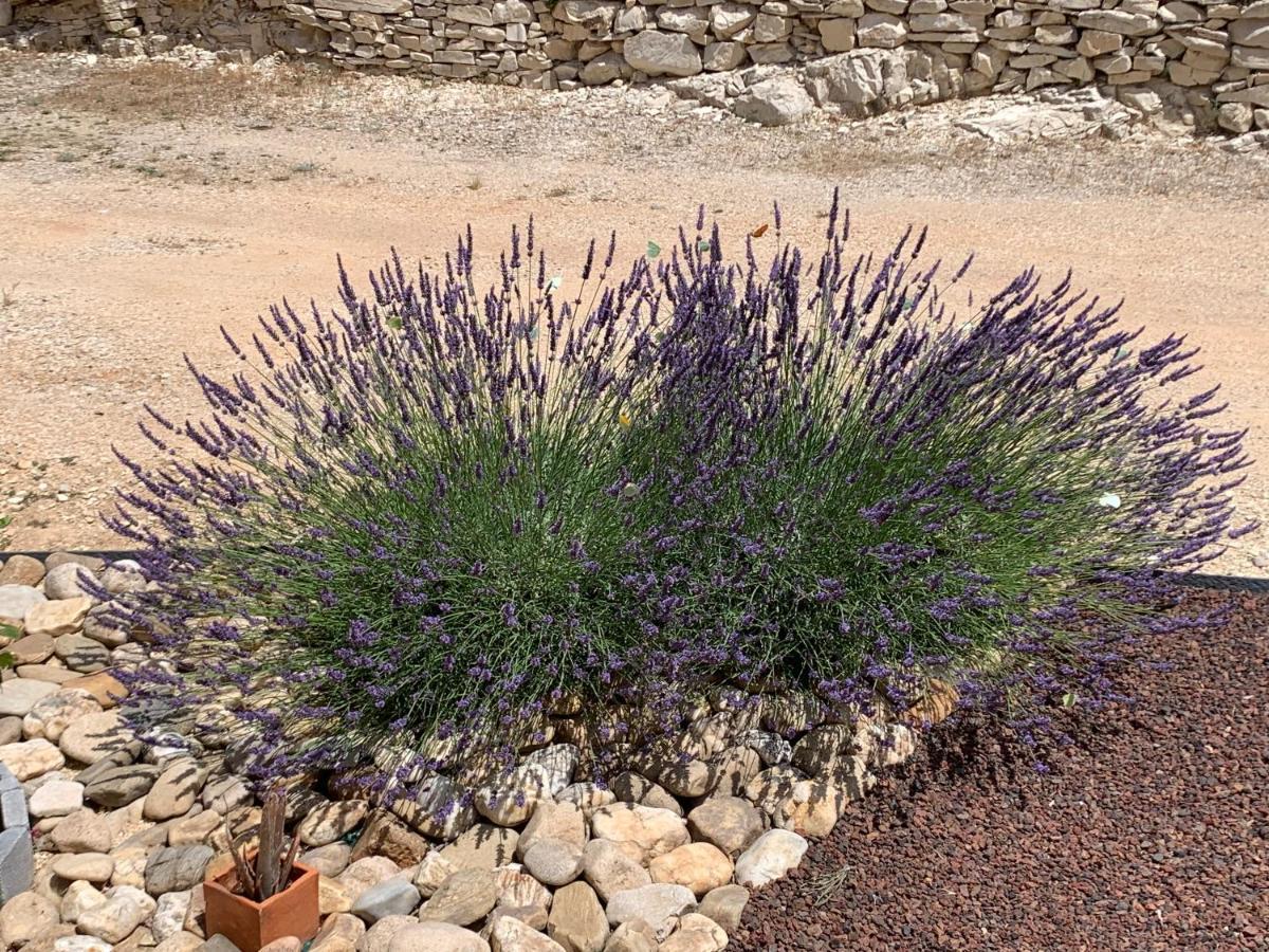 مبيت وإفطار Saint-Jean-de-Maruéjols-et-Avéjan Au Fil Des Cevennes المظهر الخارجي الصورة
